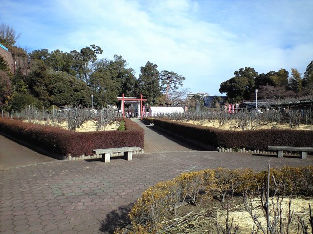 ぼたん園