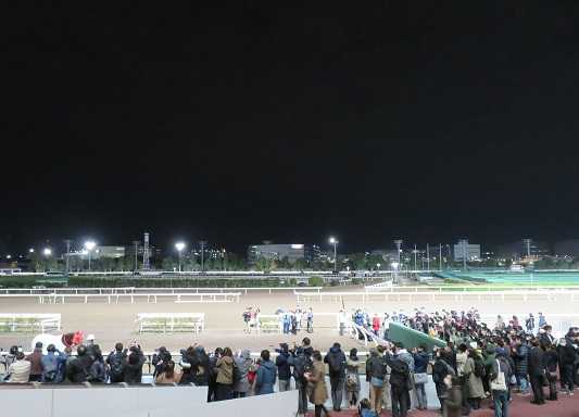 １週間の出来事 地方競馬の楽天競馬 日替わりライターブログ 楽天ブログ