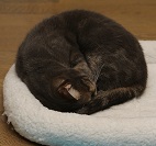 5DA_2789-18.jpg