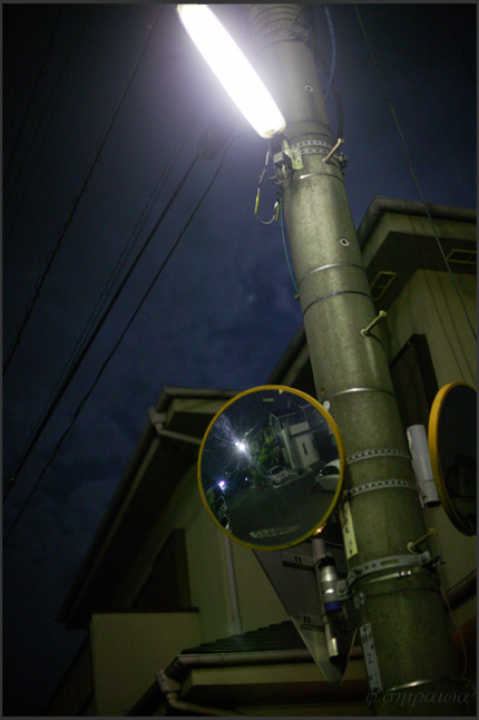 night