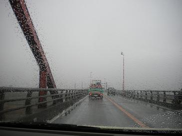 雨の利根川沿い２.JPG