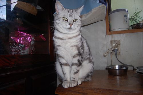 DSC_0105.JPG