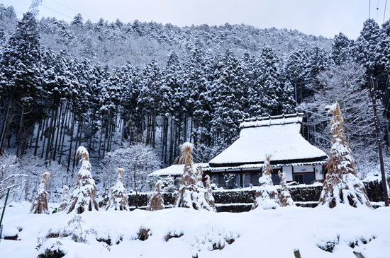 雪２