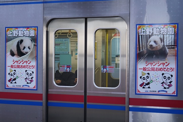 京成 「京成パンダ号」 & スカイライナ－2500万人達成3