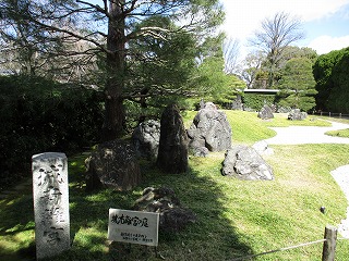 IMG_7383ss.jpg
