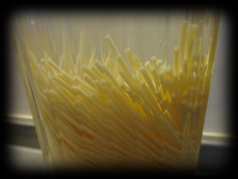 パスタ３.jpg