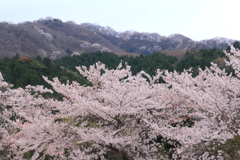能勢黒川_004吉川小学校.jpg