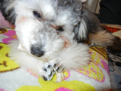 Liz 20120558.jpg
