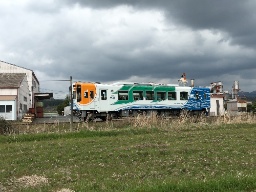 IMG_7248.jpg