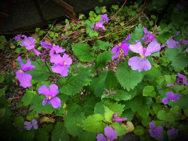 rblog-20160328174229-01.jpg