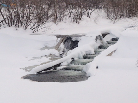 大雪１.jpg