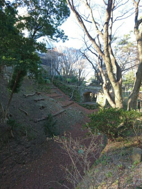 rblog-20170320233840-08.jpg