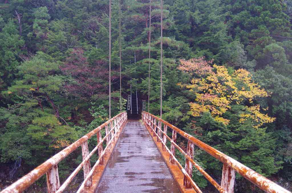 長良川沿いの吊橋