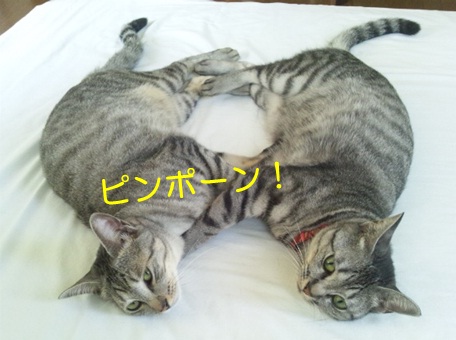 20120909_4.jpg
