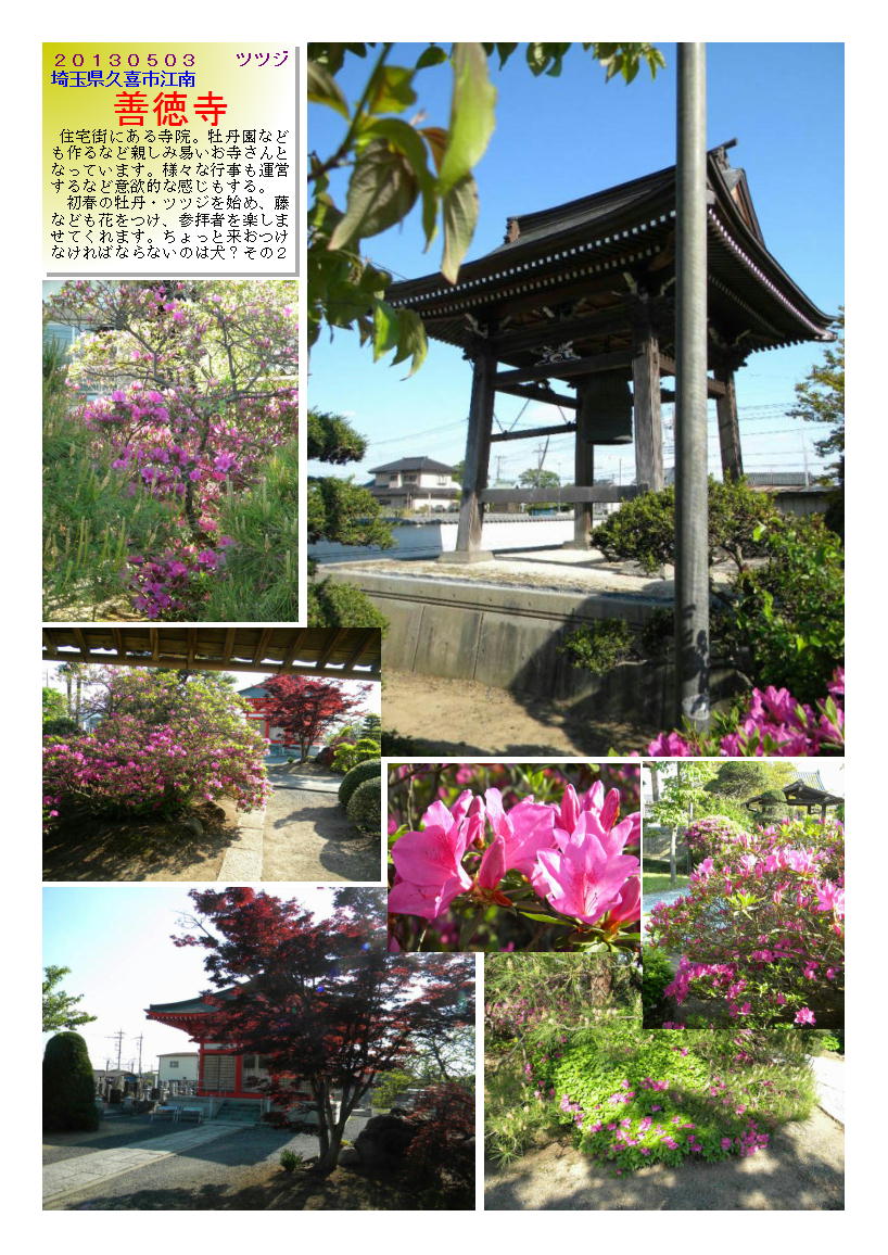 20130503kukizentokuzi2-tutuzi.jpg