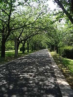辰巳公園５