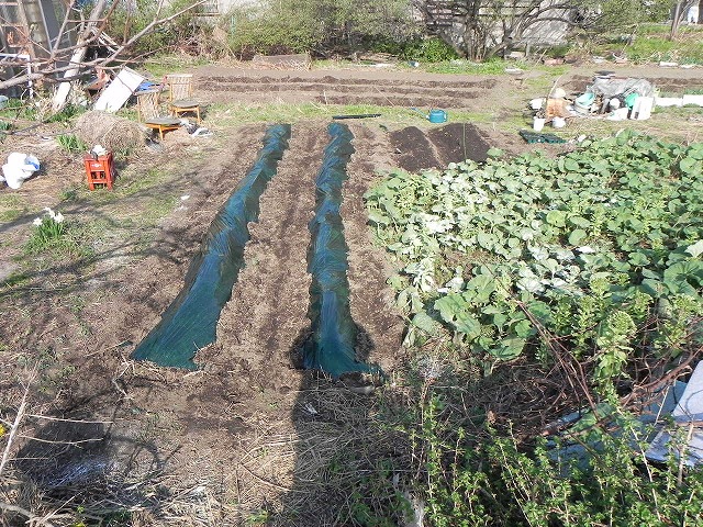 DSCN2727.jpg