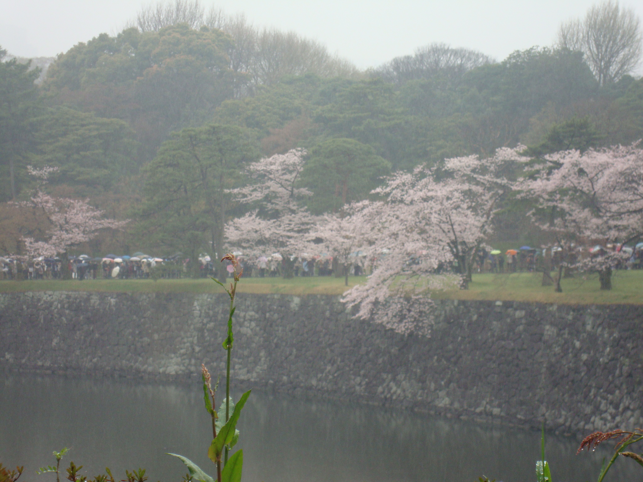 DSC08302.JPG