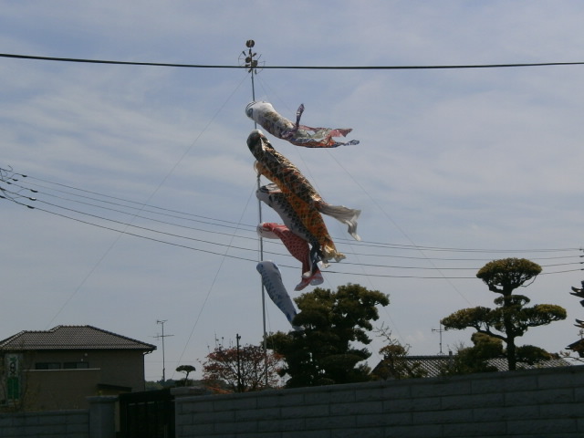 P4241038.JPG