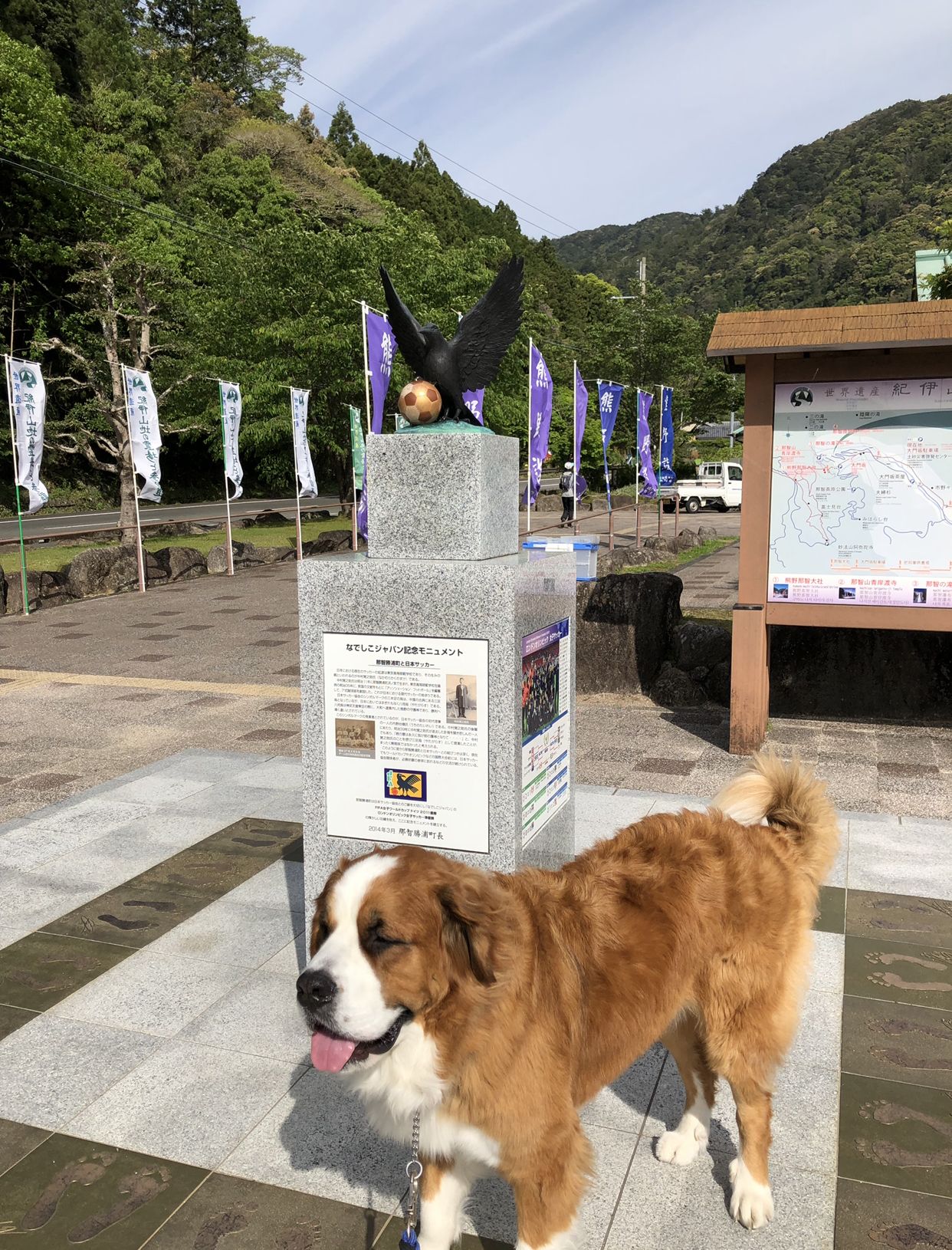 ブラげんさん 熊野古道 超大型犬と暮らす げんさんと一緒 楽天ブログ