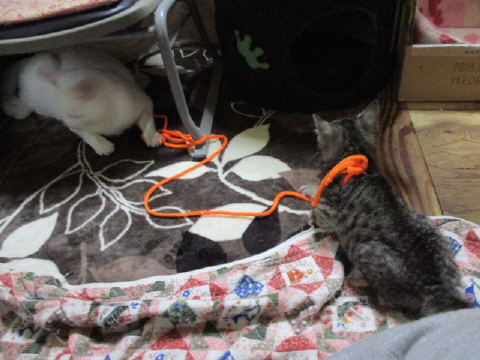 16a0910.jpg