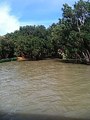 rblog-20140819201020-01.jpg