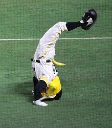 IMG_3426.jpg