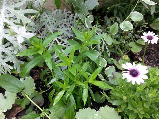 rblog-20140720002451-02.jpg
