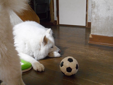 DSCN0388.JPG