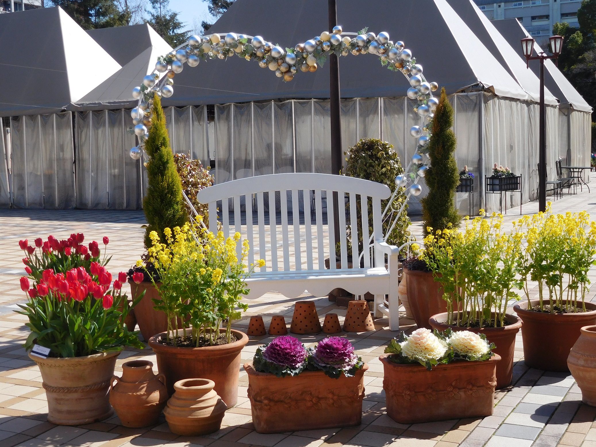 3 3の久屋大通庭園フラリエ その1 咲かないアイスチューリップの代わりに鉢植えで ｔｅａ ｇａｒｄｅｎ ちょっとひとりごと 楽天ブログ