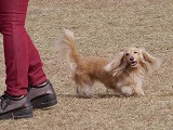 20121104132135[1].jpg