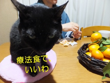 20121104_7.jpg