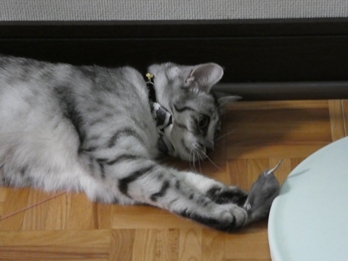 P1010218.JPG