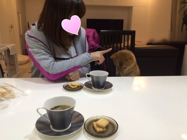 rblog-20151203030202-00.jpg