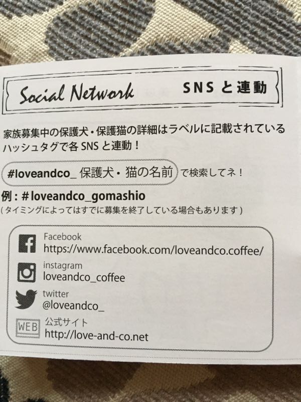 rblog-20160814210858-09.jpg