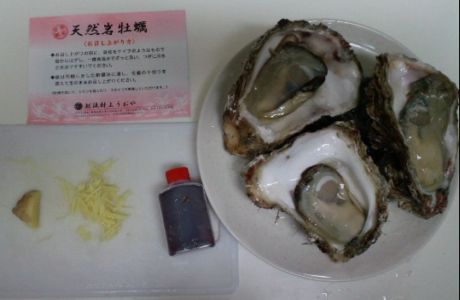 酢醤油と生姜.jpg
