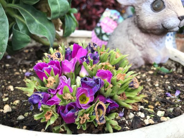 rblog-20190423182339-07.jpg