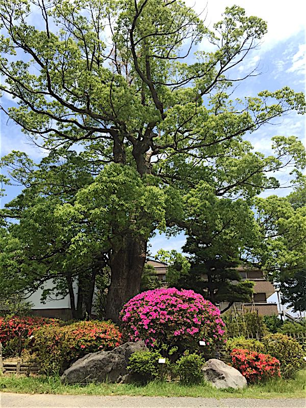 rblog-20160606162222-04.jpg