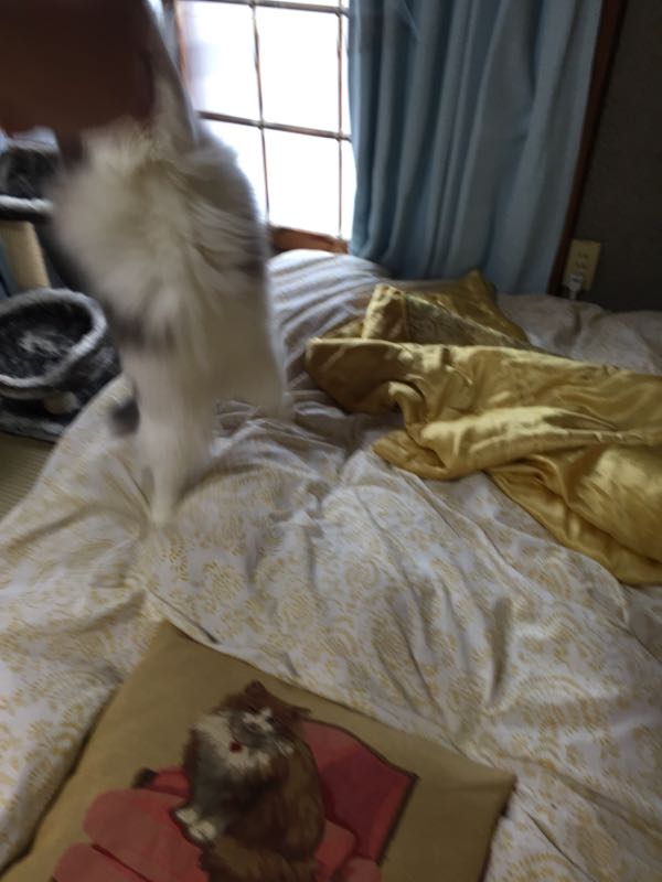 rblog-20160315091901-02.jpg