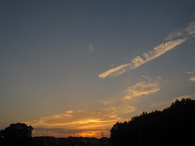 IMG_2012_1.JPG