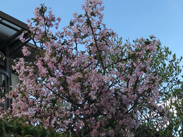 rblog-20180408180306-06.jpg