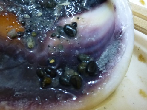 P1110030 - コピー.JPG