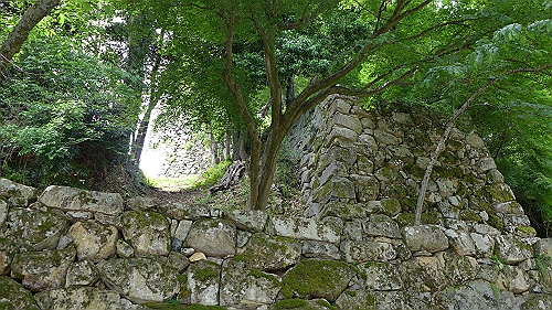 彦根城４：登り石垣