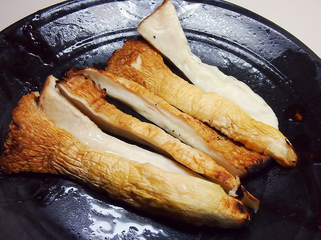 s-p1402.jpg