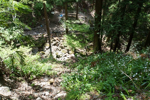 DSC03416.JPG
