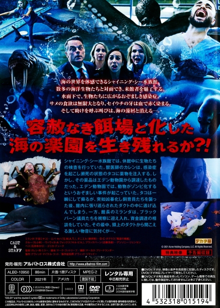 シグナル DVD スペシャル版 映画 パンフレット シグナル DVD スペシャル版 映画 パンフレット