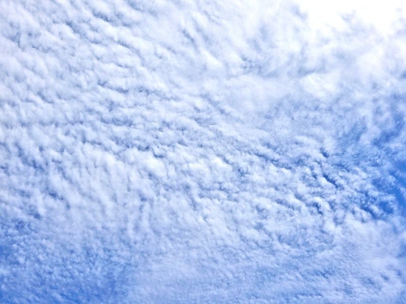 空2
