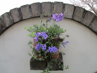 IMG_9367ss.jpg