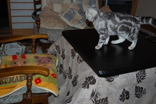 DSC_0043.JPG