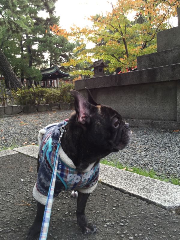 rblog-20141116101339-01.jpg